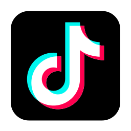 tiktok icon faq